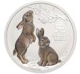 Монета 50 центов 2023 года Австралия «Лунный календарь — Год кролика» (Цветное покрытие) (Артикул M2-71147)