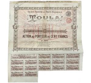 Акция на 100 франков Бельгийское акционерное общество доменных печей  1895 года