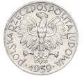 Монета 5 злотых 1959 года Польша (Артикул K11-115366)