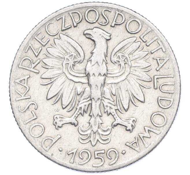 Монета 5 злотых 1959 года Польша (Артикул K11-115367)