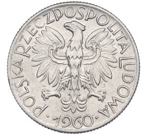 5 злотых 1960 года Польша — Фото №2