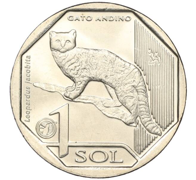 Монета 1 соль 2019 года Перу «Фауна Перу — Андская кошка» (Артикул K11-115605)