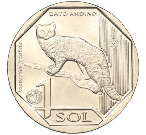 1 соль 2019 года Перу «Фауна Перу — Андская кошка»