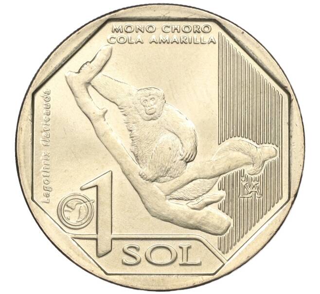 Монета 1 соль 2019 года Перу «Фауна Перу — Желтохвостая обезьяна» (Артикул K11-115611)