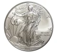 Монета 1 доллар 2013 года — «Шагающая Свобода» (Артикул M2-5568)
