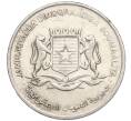 Монета 1 шиллинг 1984 года Сомали (Артикул K11-116863)