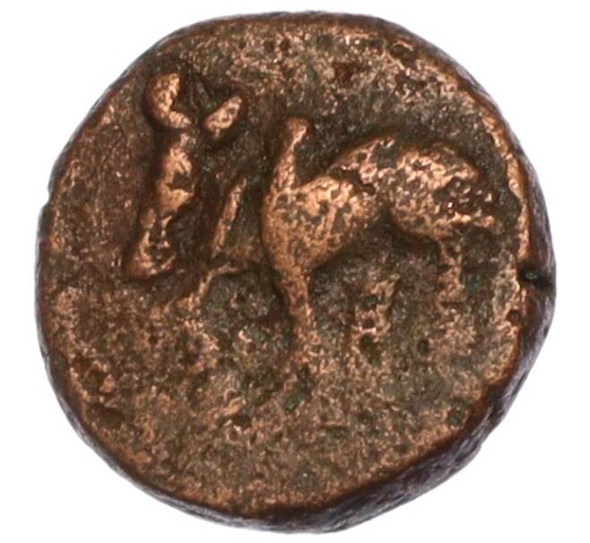 Монета Кэш середина XIII века Индия — провинция Аркот (Артикул M2-71372)