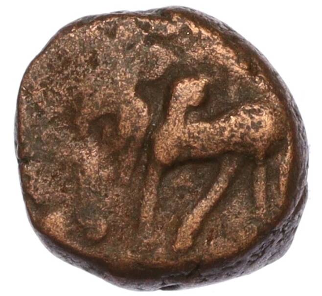 Монета Кэш середина XIII века Индия — провинция Аркот (Артикул M2-71377)