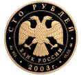 Монета 100 рублей 2003 года ММД «Окно в Европу — Петрозаводск» (Артикул M1-58322)