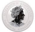 Монета 8 долларов 2023 года Австралия «Год кролика» (Цветное покрытие) (Артикул M2-72042)