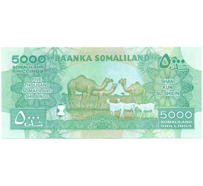 Банкнота 5000 шиллингов 2011 года Сомалиленд (Артикул: K11-118258) — Фото №2