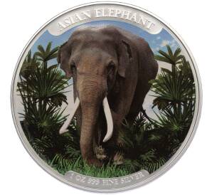 3000 риелей 2023 года Камбоджа «Азиатский слон» (Цветное покрытие)