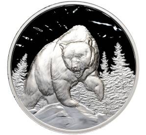 20 долларов 2023 года Канада «Медведь гризли»