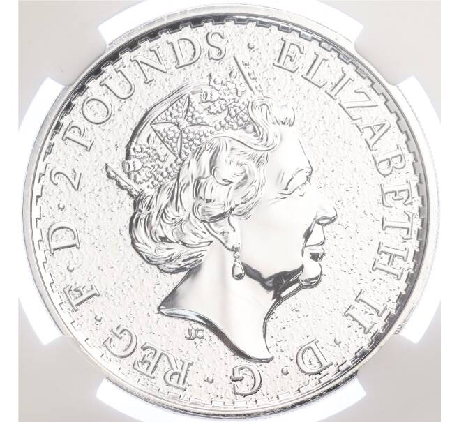 Монета 2 фунта 2017 года Великобритания «Китайский гороскоп — Год петуха» (в слабе - MS69) (Артикул M2-72084)