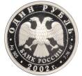 Монета 1 рубль 2002 года ММД «Министерство юстиций Российской Федерации» (Артикул T11-02915)