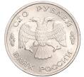 Монета 100 рублей 1993 года ЛМД (Артикул T11-03033)