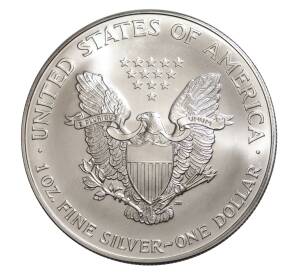 1 доллар 1999 года США «Шагающая Свобода»