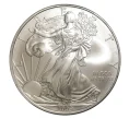 Монета 1 доллар 2009 года США «Шагающая Свобода» (Артикул M2-5708)
