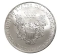 Монета 1 доллар 2010 года США «Шагающая Свобода» (Артикул M2-5709)