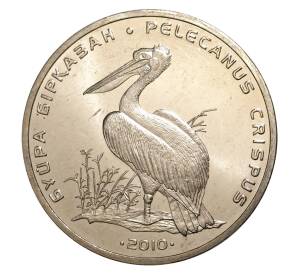 50 тенге 2010 года Красная книга — Пеликан — Фото №1