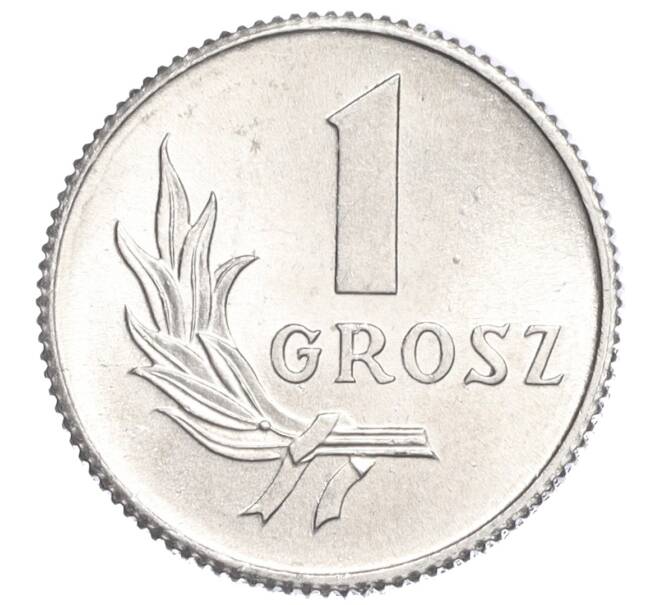 Монета 1 грош 1949 года Польша (Артикул K11-120979)