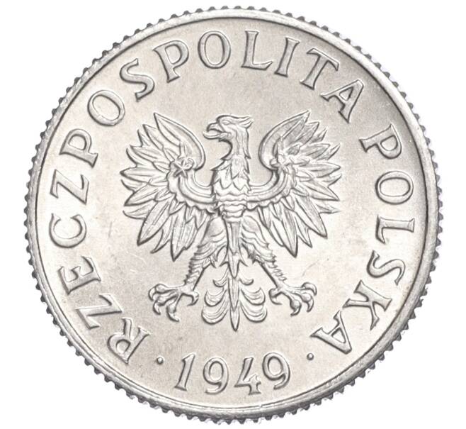 Монета 1 грош 1949 года Польша (Артикул K11-120980)