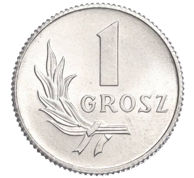 Монета 1 грош 1949 года Польша (Артикул K11-120981)