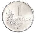 Монета 1 грош 1949 года Польша (Артикул K11-120991)