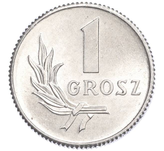 Монета 1 грош 1949 года Польша (Артикул K11-120991)