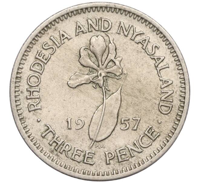 Монета 3 пенса 1957 года Родезия и Ньясаленд (Артикул K11-121387)