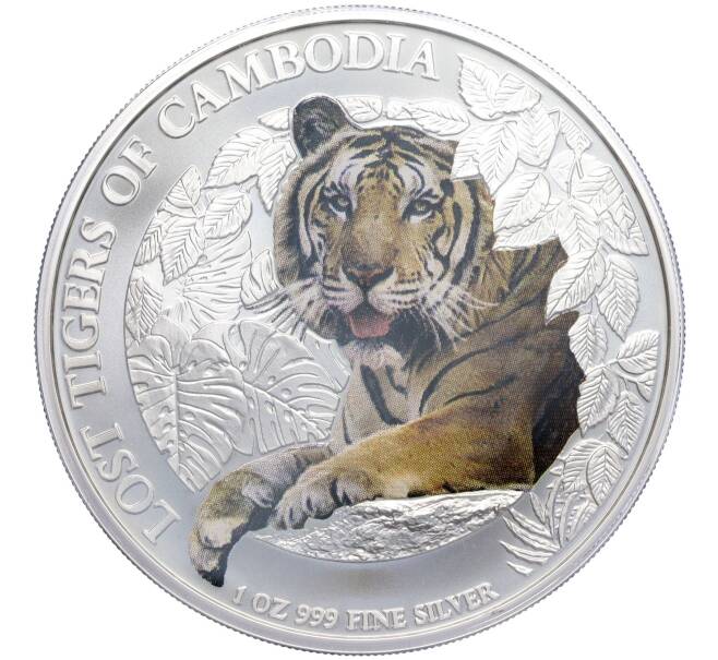 Монета 3000 риелей 2023 года Камбоджа «Потерянные тигры Камбоджи» (Цветное покрытие) (Артикул M2-72235)