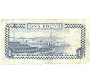 1 фунт 1991 года Остров Мэн