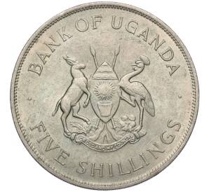 5 шиллингов 1968 года Уганда «ФАО»