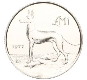 1 лира 1977 года Мальта «Мальтийская охотничья (Фараонова) собака» — Фото №1