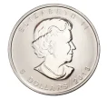 Монета 5 долларов 2013 года «Кленовый лист» — 25 лет инвестиционной монете Канады (Артикул M2-6203)