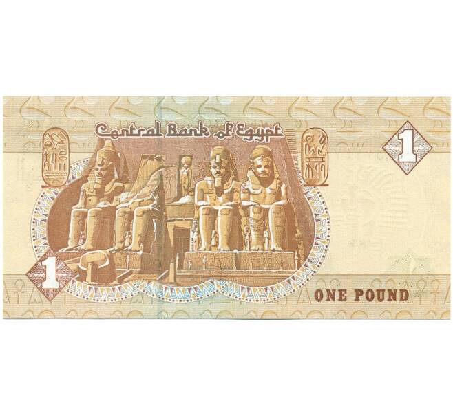 1 фунт 2008 года Египет (Артикул K11-125042)