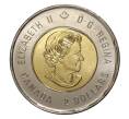 Монета 2 доллара 2015 года Канада — 100 лет стихотворению «На полях Фландрии» (Артикул M2-6211)