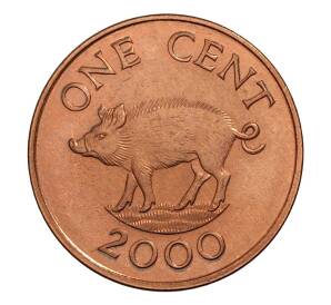 1 цент 2000 года Бермуды — Фото №1