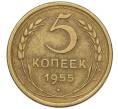 Монета 5 копеек 1955 года (Артикул K12-00739)