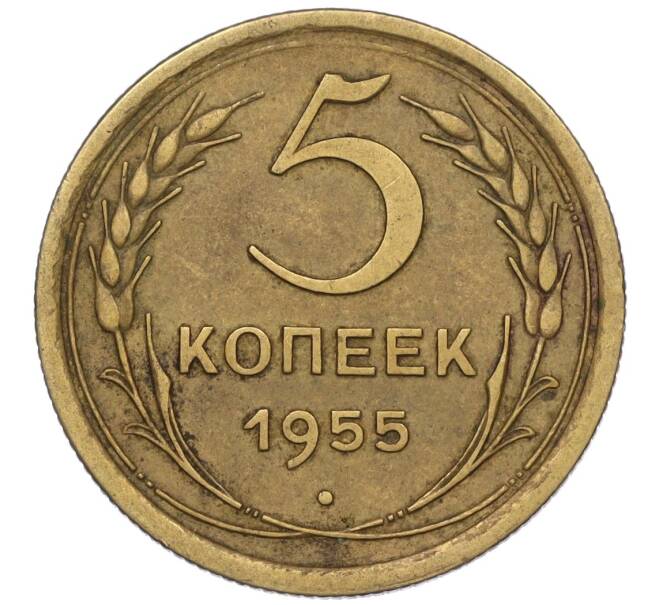 Монета 5 копеек 1955 года (Артикул K12-00744) — Фото №1