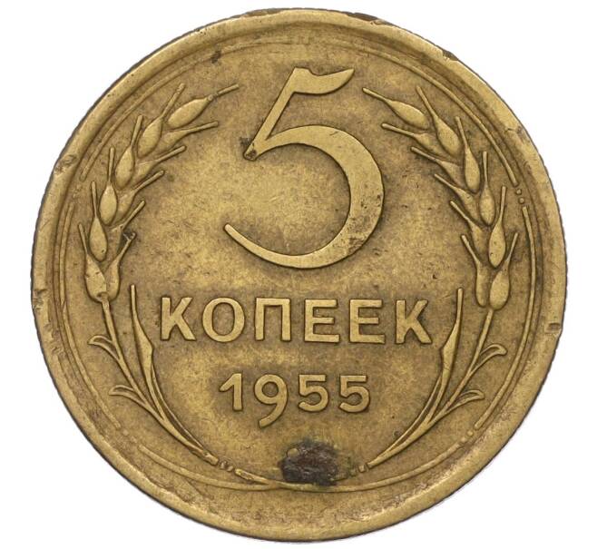 Монета 5 копеек 1955 года (Артикул K12-00750) — Фото №1