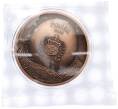 Монета 25 центов 2023 года Самоа «Серая неясыть» (Артикул M2-73358)
