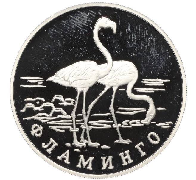Монета 1 рубль 1997 года ЛМД «Красная книга — Фламинго» (Артикул K12-00997)