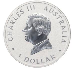 1 доллар 2024 года Австралия «Австралийский клинохвостый орел — 10-летие чеканки монет»