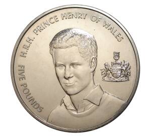 5 фунтов 2005 года Олдерни — Принц Вильям Уэльсский — Фото №1