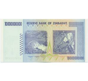 10 миллиардов долларов 2008 года Зимбабве — Фото №2