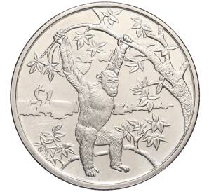 1 доллар 2006 года Сьерра-Леоне «Животные — Шимпанзе»
