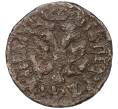 Монета Полушка 1707 года (Артикул K12-02235)