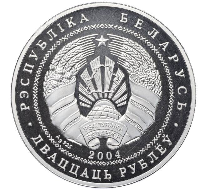 Монета 20 рублей 2004 года Белоруссия «Памятники архитектуры Беларуси — Несвижский замок» (Proof) (Артикул T11-06459)