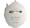 Знак «Орден Трудового Красного Знамени Таджикской ССР» (Муляж) (Артикул K12-04077)